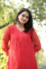 Resham Work Chikankari Kurta-Georgette Fabric - Image 4