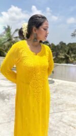 Tarangini Chikankari kurta - Image 3